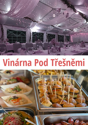 Vinárna Pod Třešněmi Vinárna Pod Třešněmi